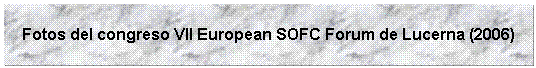 Cuadro de texto: Fotos del congreso VII European SOFC Forum de Lucerna (2006) 
